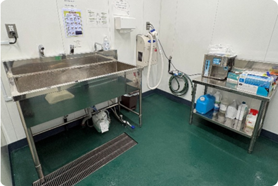 入口（手洗い洗浄、毛髪・粉塵などの異物吸い込み）