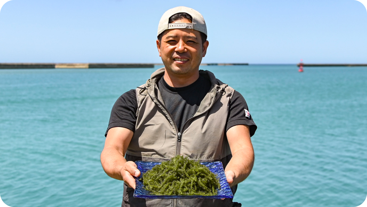 海ぶどうについて
